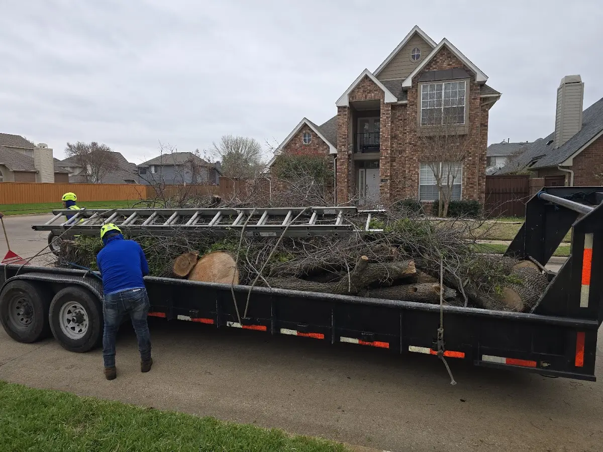 Expert Lot Clearing with proper safety equipment in Roslyn